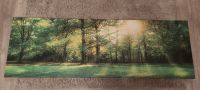 Bild 180x62 cm Wald Bäume grün Übergroßes Bild Nordrhein-Westfalen - Hopsten Vorschau