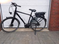 Giant Prime+ Pedelec E-Bike Shimano 8 Gang Niedersachsen - Bad Bentheim Vorschau