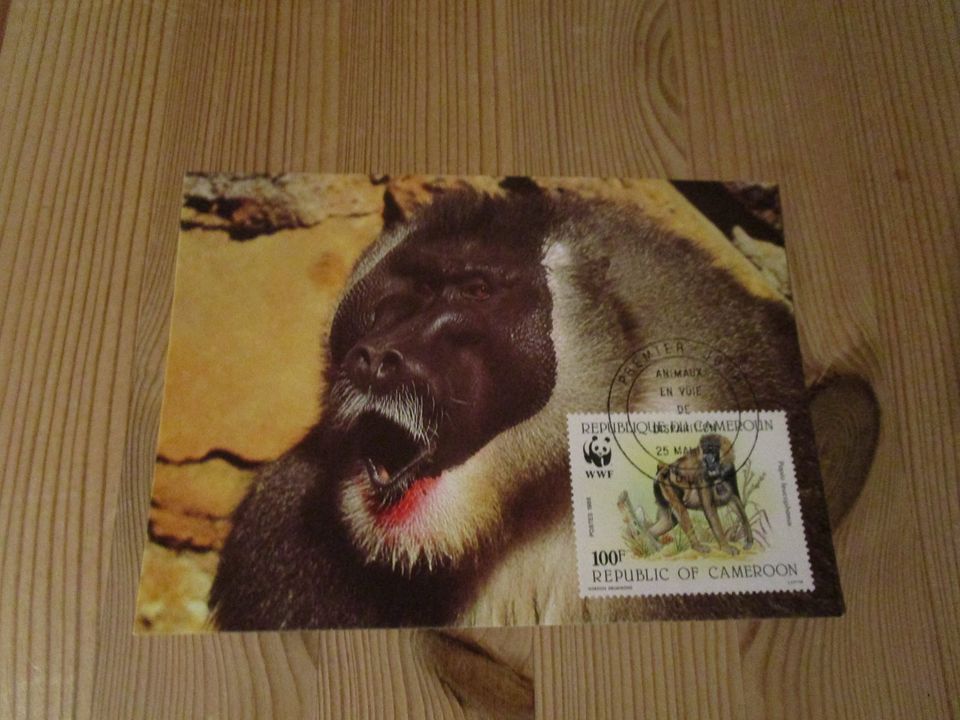 Aus Nachlass 24 verschiedene WWF Koverts+Karten mit Briefmarken in Scharbeutz