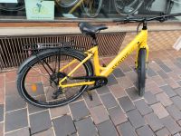 Pedelec Econic One comfort Limited, E-Bike gebraucht Bayern - Bamberg Vorschau