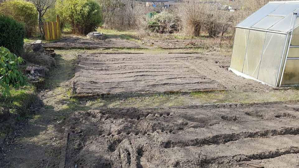 ✅ Garten fräsen | Beetvorbereitung | Gartenbesitzer aufgepasst! in Soderstorf