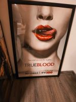 Bilderrahmen schwarz 91 90 x 60 HBO True Blood Poster Niedersachsen - Hilter am Teutoburger Wald Vorschau