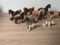 Schleich Pferde/Tiere Mecklenburg-Vorpommern - Pasewalk Vorschau