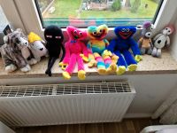 Alle kuscheltiere nur 20 € Nordrhein-Westfalen - Recklinghausen Vorschau