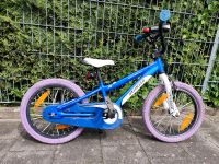 Specialized Hotrock 16" Kinderfahrrad Blau/Weiß Bayern - Langenzenn Vorschau