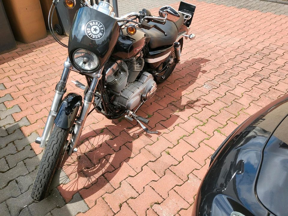 Harley Davidson 883 Sportler,Top Zustand. in Roxheim