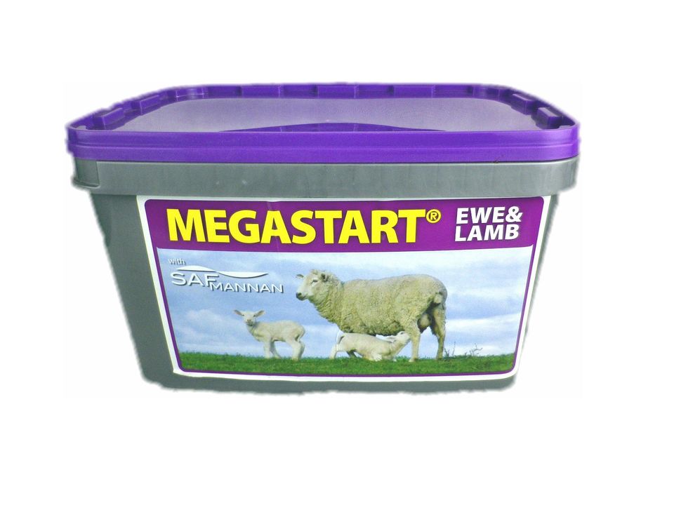 Crystalyx Megastart Ewe & Lamb für Schafe und Ziege 20 kg in Döbern
