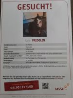 Vermisst Kater Fridolin Roßleben-Wiehe - Wiehe Vorschau