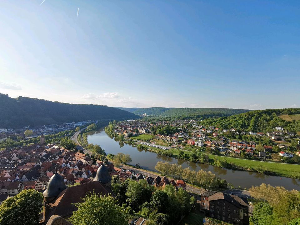 Gartengrundstück in (Kreuz-)Wertheim gesucht | Kauf oder Pacht in Wertheim