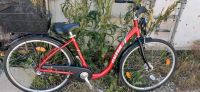 Senioren Fahrrad mit niedrigen Einstieg 28zoll 3gang Neuhausen-Nymphenburg - Neuhausen Vorschau