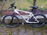 Verkaufe Specialized Rockhopper Rostock - Südstadt Vorschau