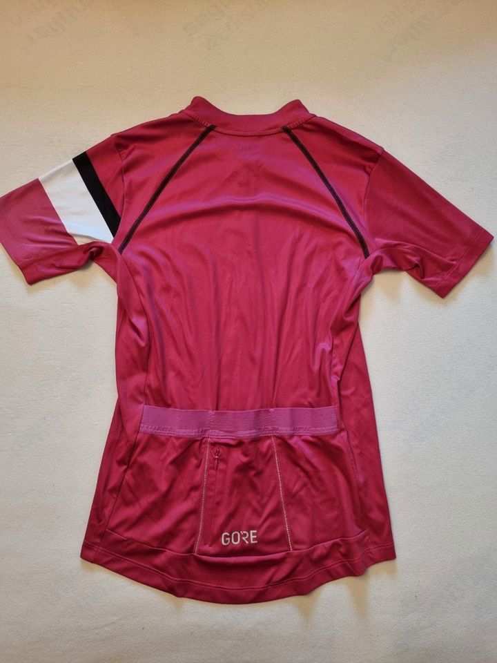 GORE C5 Damen Radtrikot kurzarm / Größe 36 in Frankfurt am Main