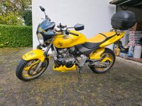 Honda Hornet  CB600F PC36 Bayern - Ebersberg Vorschau