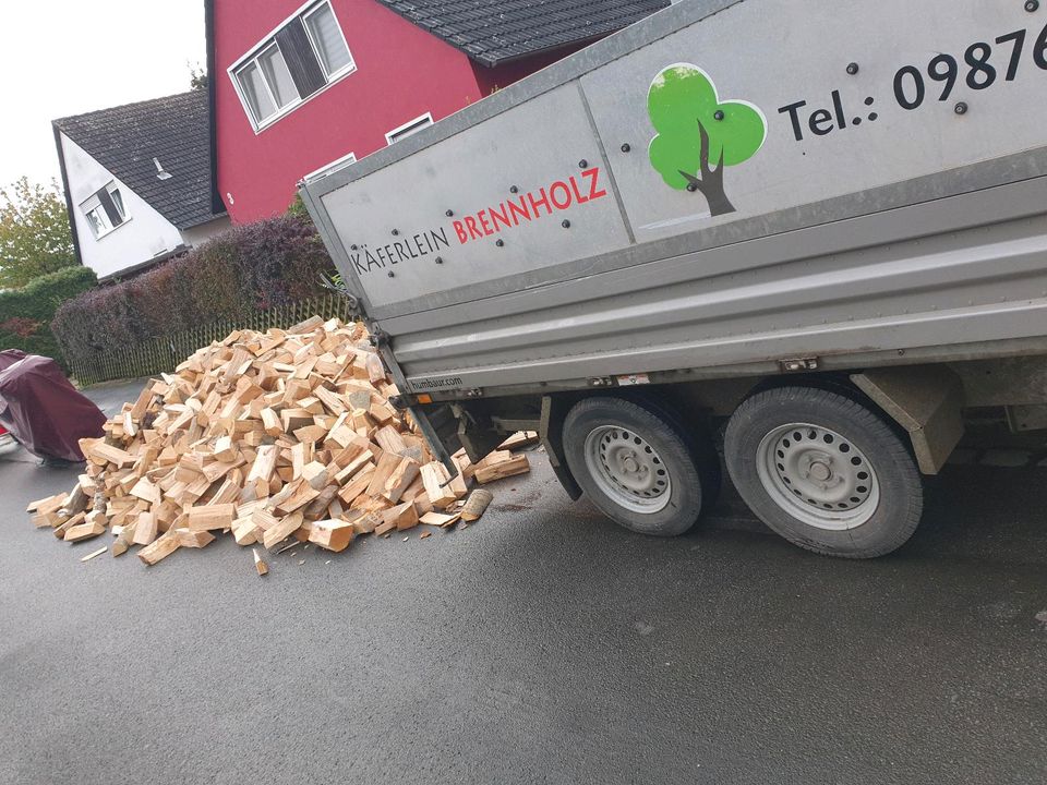 Brennholz Buche Birke Hartholz Weichholz smoker IBC räuchern in Rohr Mittelfr.