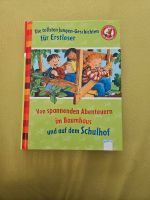 Leserabe Bücher 1 .+ 2. Klasse Lesestufe Jungen Schulhof Wikinger Niedersachsen - Uetze Vorschau