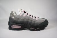Nike Air Max 95 Pink Foam EU 38,5 Sachsen - Bad Gottleuba-Berggießhübel Vorschau