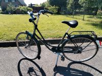 Fahrrad Gazelle Nordrhein-Westfalen - Reken Vorschau