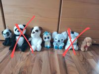 Glubschies etc. Hund, Panda, Esel, Einhorn, Panda, Kuscheltiere Bayern - Memmelsdorf Vorschau