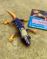 Blue Ocean Planet Wow Gecko Nr. 14 Psychedelischer Felsengecko Dresden - Gruna Vorschau