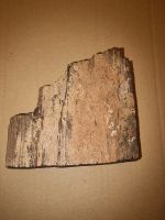 Versteinertes Holz I fossiles Holz I petrified Wood 881 gr. Nordrhein-Westfalen - Kempen Vorschau