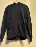 Champion Hoodie Sachsen-Anhalt - Dähre Vorschau