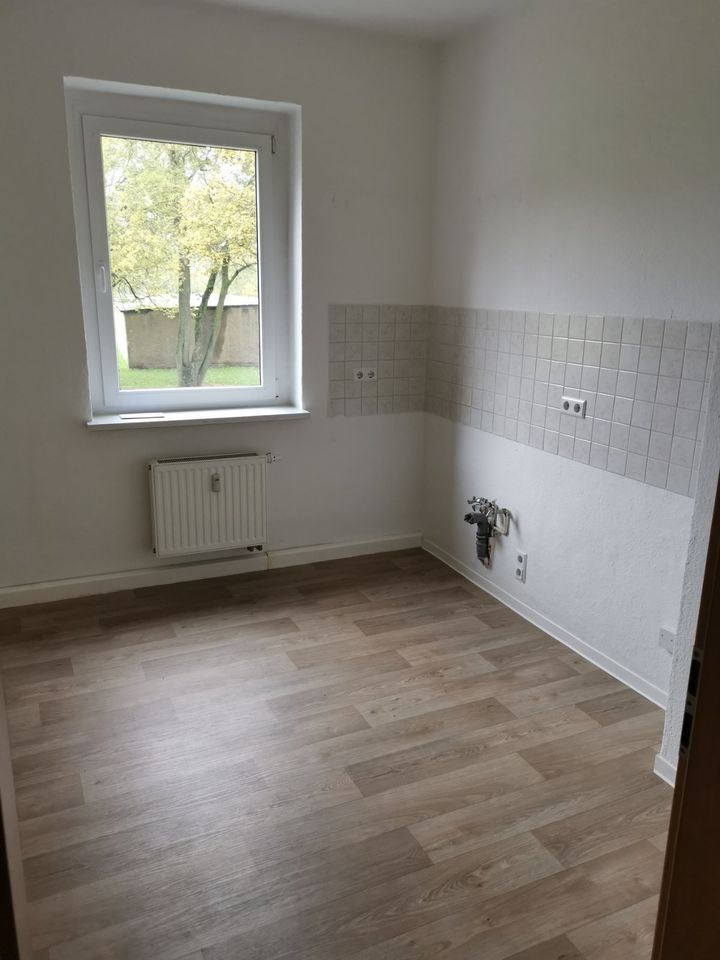 Renovierte 3RaumWohnung in Merseburg in SachsenAnhalt Merseburg
