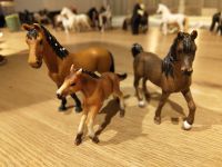 Schleich Pferde Bayern - Pfronten Vorschau