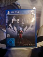 PS PREY Spiel Niedersachsen - Schellerten Vorschau