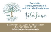 Tierphysiotherapeut /-in Nordrhein-Westfalen - Bad Sassendorf Vorschau