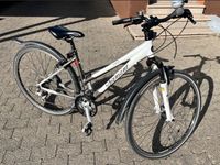 Crossbike Diamant Pacer fun 28 Zoll Nordrhein-Westfalen - Bornheim Vorschau