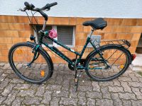 Damen-Fahrrad Falter 26 Zoll Bayern - Aschaffenburg Vorschau