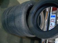 4 Sommerreifen 195/55 R16 91V Radial F209 Niedersachsen - Celle Vorschau