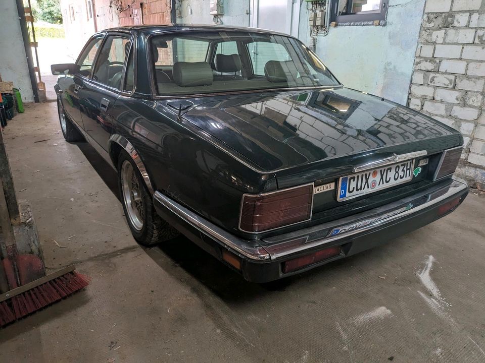 Jaguar XJ40, XJ,81 12v 6.0l in Geestland