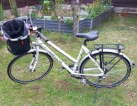 Hercules Damen City Trekking Rad Damenfahrrad Fahrrad 28 Zoll Bayern - Lenting Vorschau