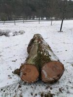 Holzstamm Brennholz Linde Schnitzholz Carving Bayern - Gössenheim Vorschau