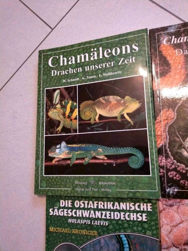 Chamäleon Fach-Bücher Reptilien Chamäleons in Wuppertal