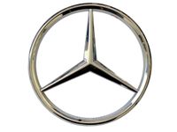 Kühlergrill-Emblem chrom Mercedes G-Klasse Stern W460 4608880009 Schleswig-Holstein - Trappenkamp Vorschau