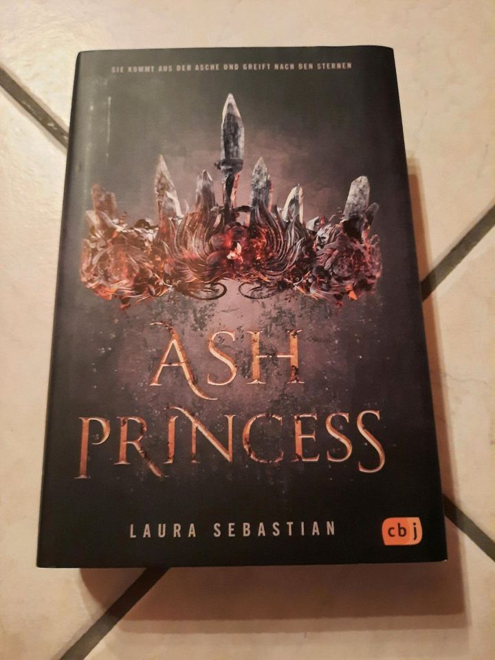 Jugendbuch Hardcover "Ash prinzess" von Laura Sebastian in Landshut