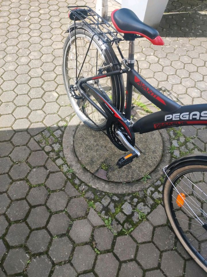 Fahrrad von Pegasus in Fürth
