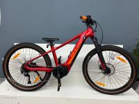 Bulls Twenty6 Evo 26 Zoll Ebike Bosch Active Line Plus 50Nm 500Wh Niedersachsen - Esens Vorschau