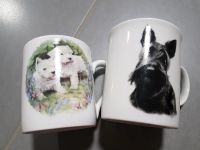 Scottish Terrier, Scotch Terrier, West Highland White Tasse Bayern - Oerlenbach Vorschau