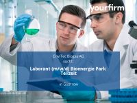 Laborant (m/w/d) Bioenergie Park Teilzeit | Güstrow Güstrow - Landkreis - Güstrow Vorschau