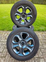 Original Ford Ecosport Winterräder 16 Zoll 205/60 R16 Nordrhein-Westfalen - Brüggen Vorschau