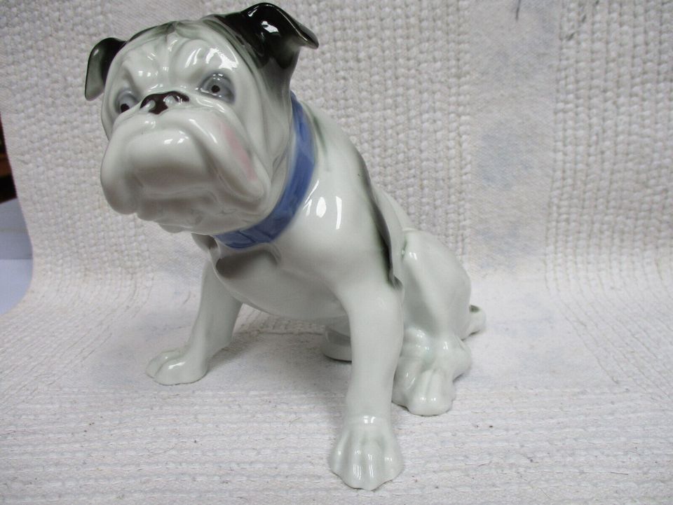 Bulldogge Porzellanfigur, Marke Gräfenthal Thüringen. Bulldog in Saarbrücken