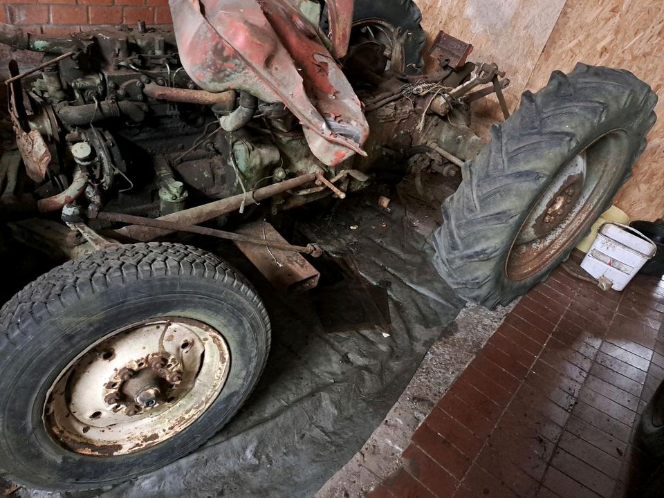 MF 35  Massey Ferguson Teile Schlachtung Getriebe in Ascheberg