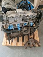 Opel C20ne Motor Komplett Paket für Corsa A/B Sachsen - Neuhausen Vorschau