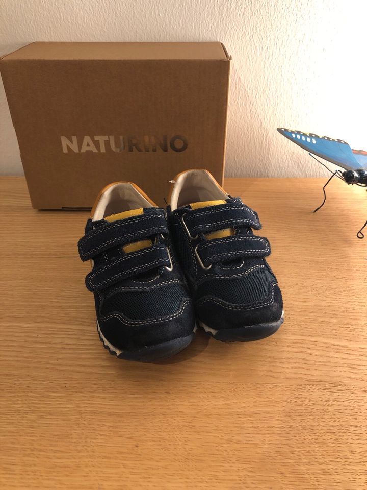 Naturino Sammy VL 2 Sneaker Halbschuhe Gr. 24 wNEU in Düsseldorf