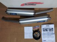 Auspuff Yamaha TDM 900 muffler Giannelli Arrow NEU ABE silencer Rheinland-Pfalz - Hoppstädten-Weiersbach Vorschau