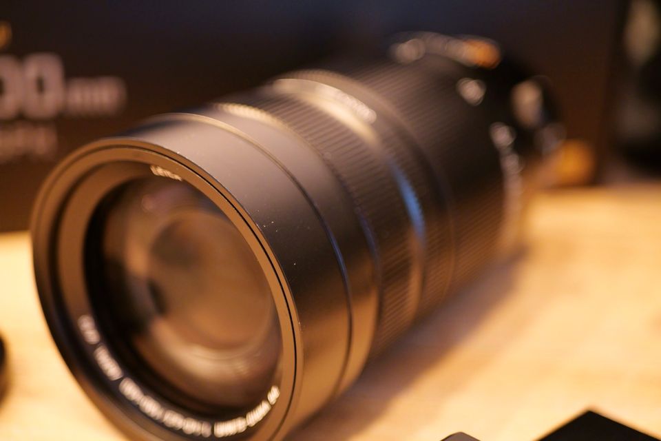 Panasonic Leica DG Vario-Elmar 100-400 mm 1:4,0-6,3 in Berlin