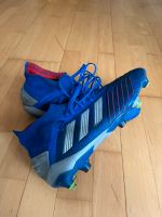 Fußballschuhe Adidas Predator 19.1 in 43 1/3 Rheinland-Pfalz - Klein-Winternheim Vorschau